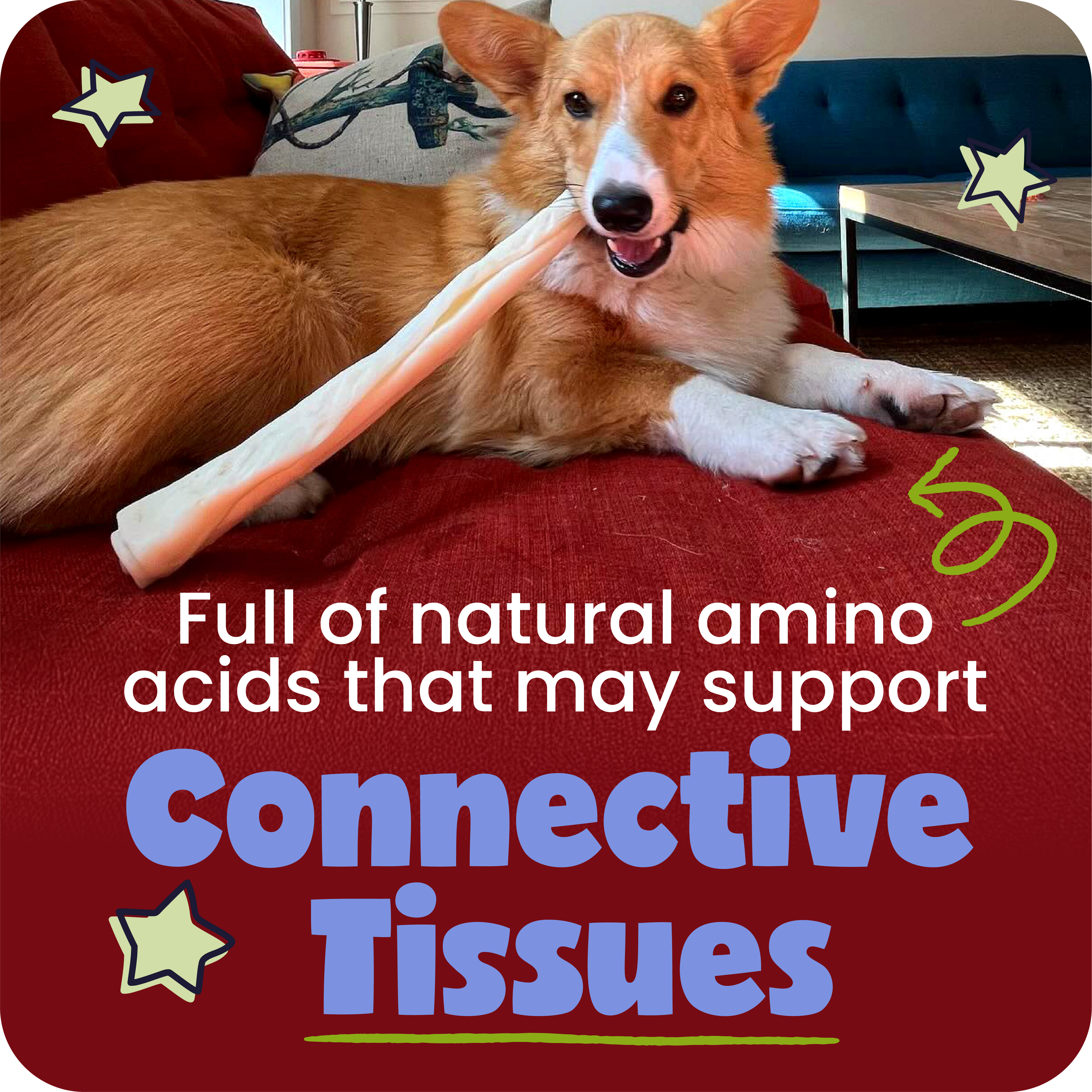 Dog lying on a red surface with a chew treat, surrounded by promotional text about natural amino acids.