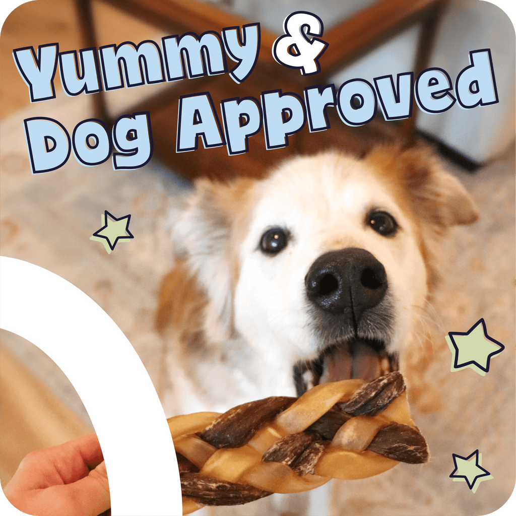 Dog holding a treat with 'Yummy & Dog Approved' text