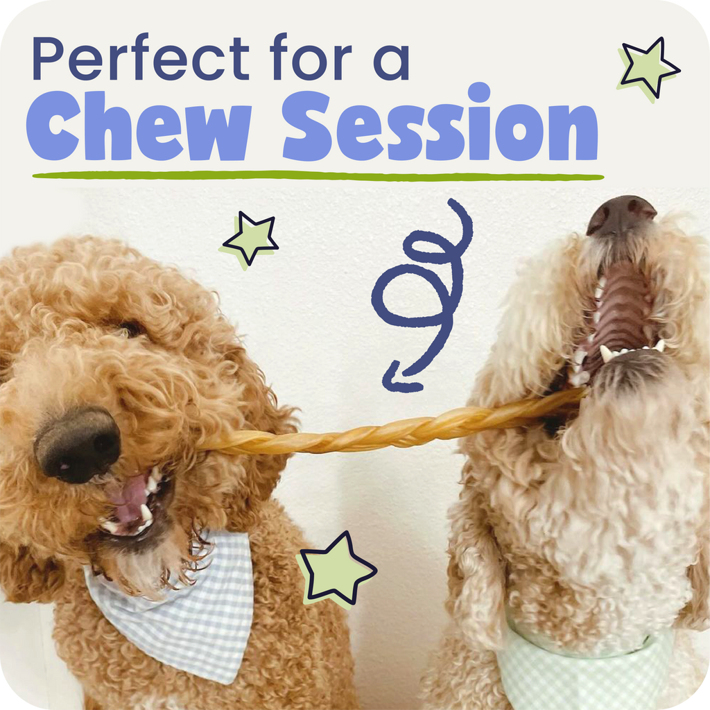 Two dogs playing with a collagen braid, with text 'Perfect for a Chew Session' above them.