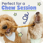 Two dogs playing with a collagen braid, with text 'Perfect for a Chew Session' above them.