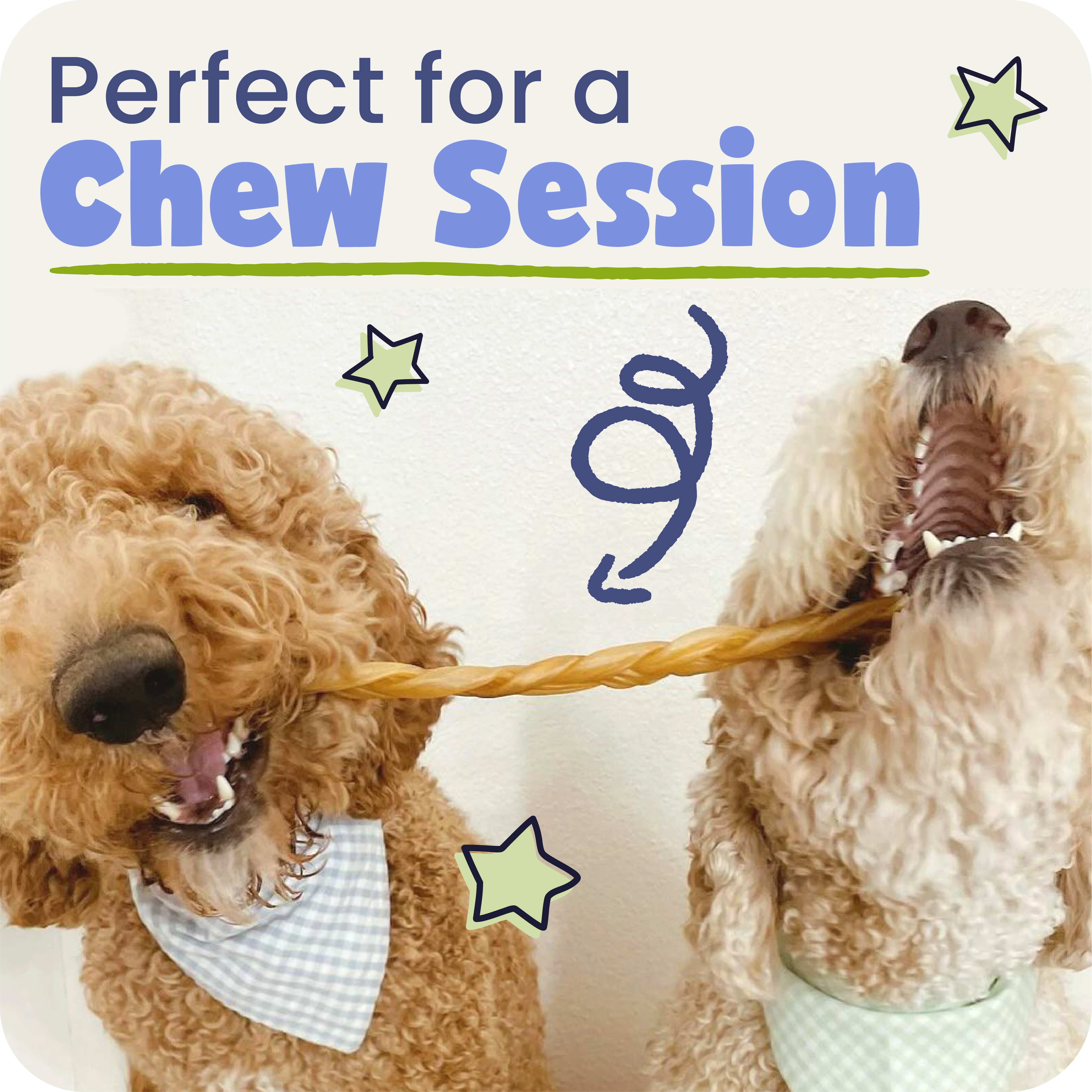 Two dogs playing with a collagen braid, with text 'Perfect for a Chew Session' above them.