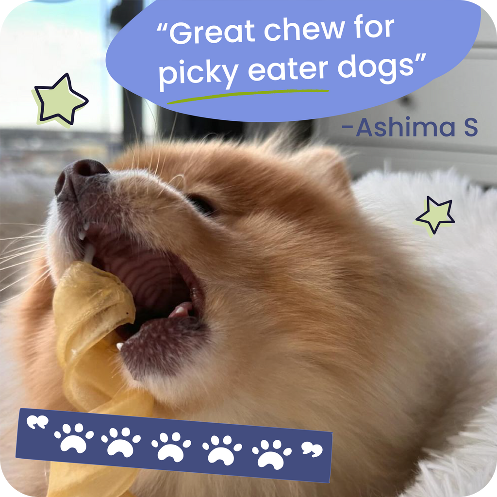 Dog chewing on a treat with text overlay about it being 'Great chew for picky eater dogs'