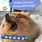 Dog chewing on a treat with text overlay about it being 'Great chew for picky eater dogs'
