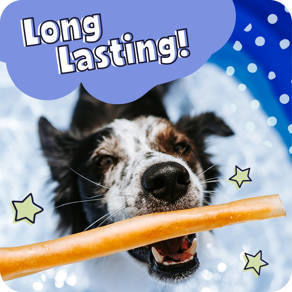 Dog holding a treat with 'Long Lasting!' text and star graphics on a blue background