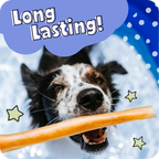 Dog holding a treat with 'Long Lasting!' text and star graphics on a blue background