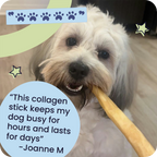 Dog chewing on a collagen stick with text and graphics
