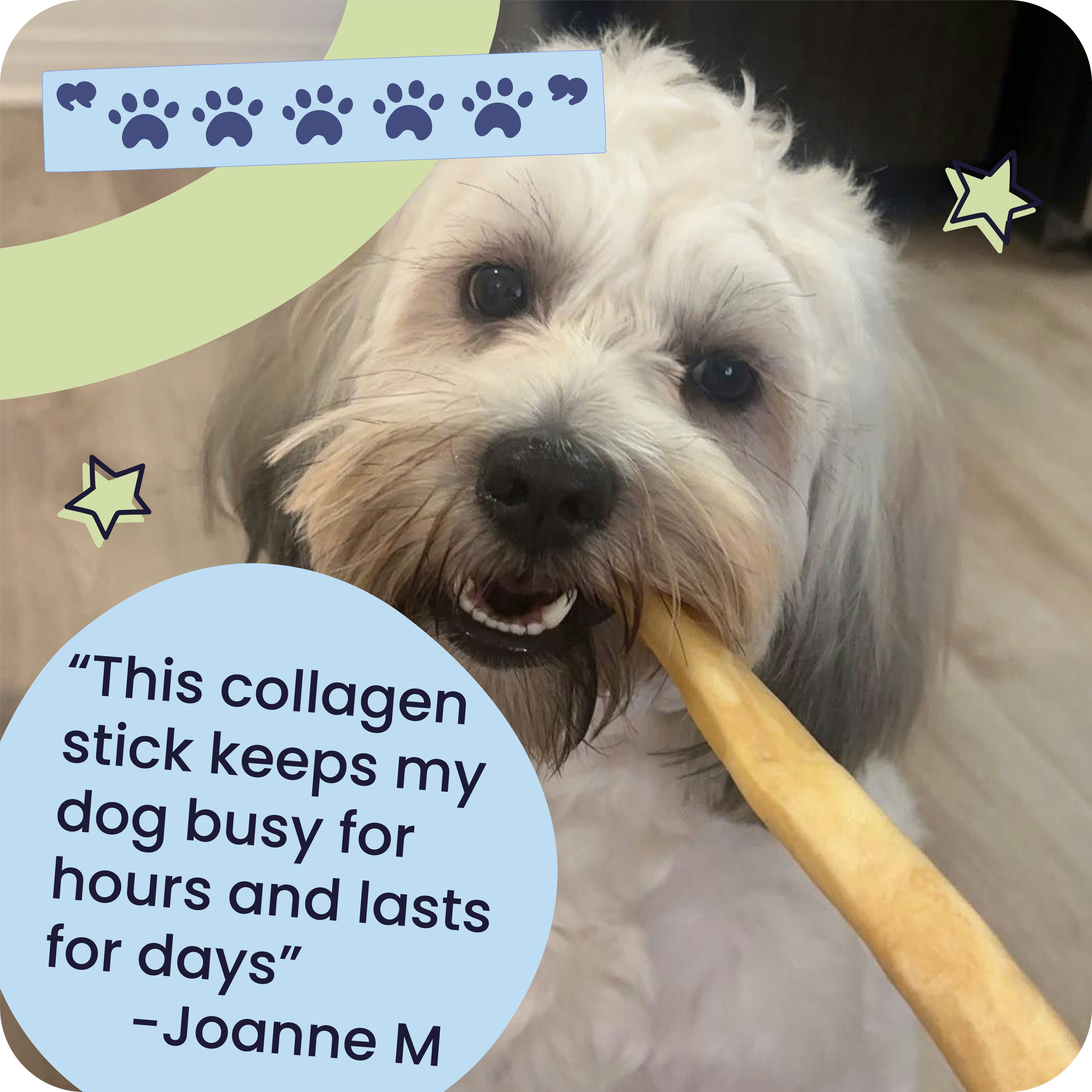 Dog chewing on a collagen stick with text and graphics