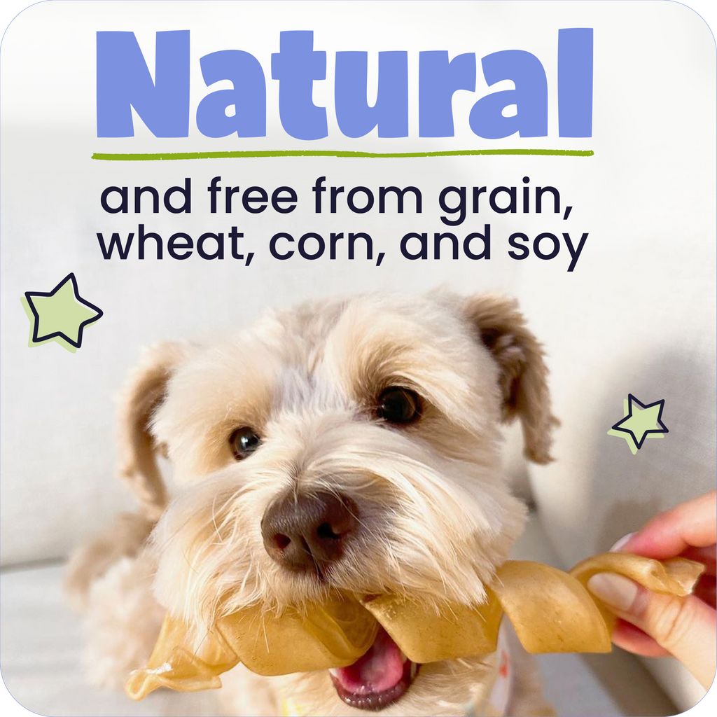 Dog holding a treat with text about being 'natural' and free from grains, wheat, corn, and soy.