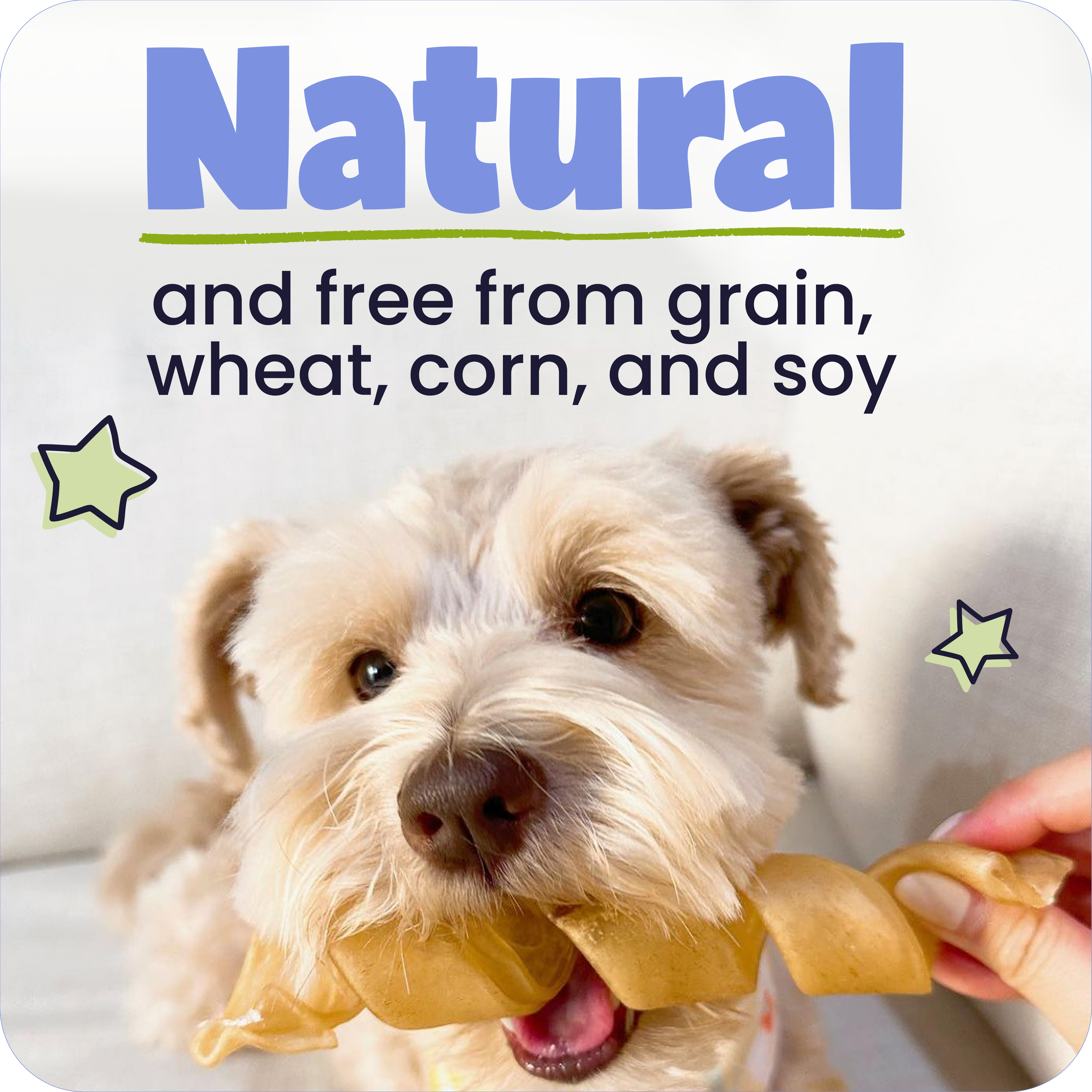 Dog holding a treat with text about being 'natural' and free from grains, wheat, corn, and soy.