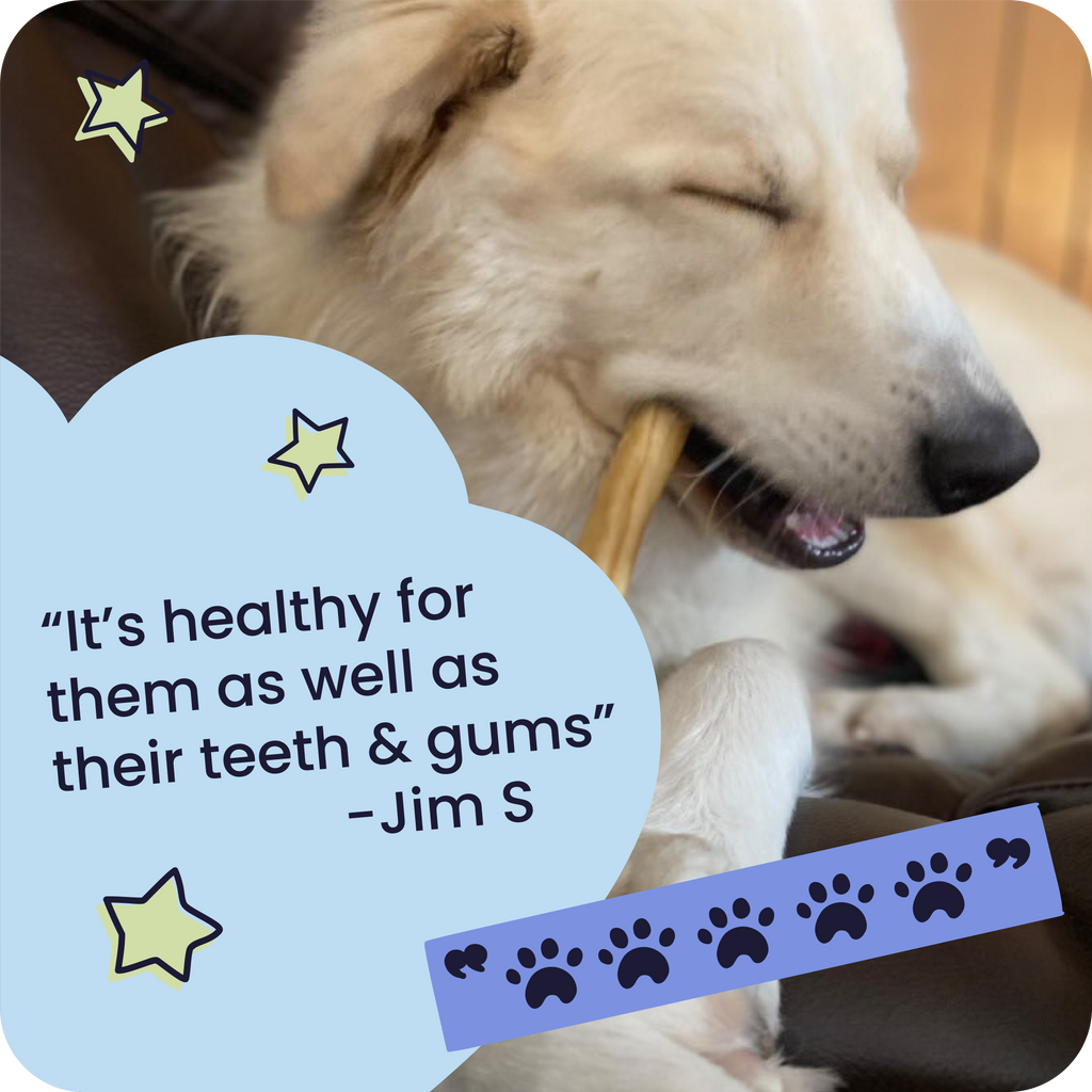 Dog chewing on a bone with a quote about dental health and a star graphic.