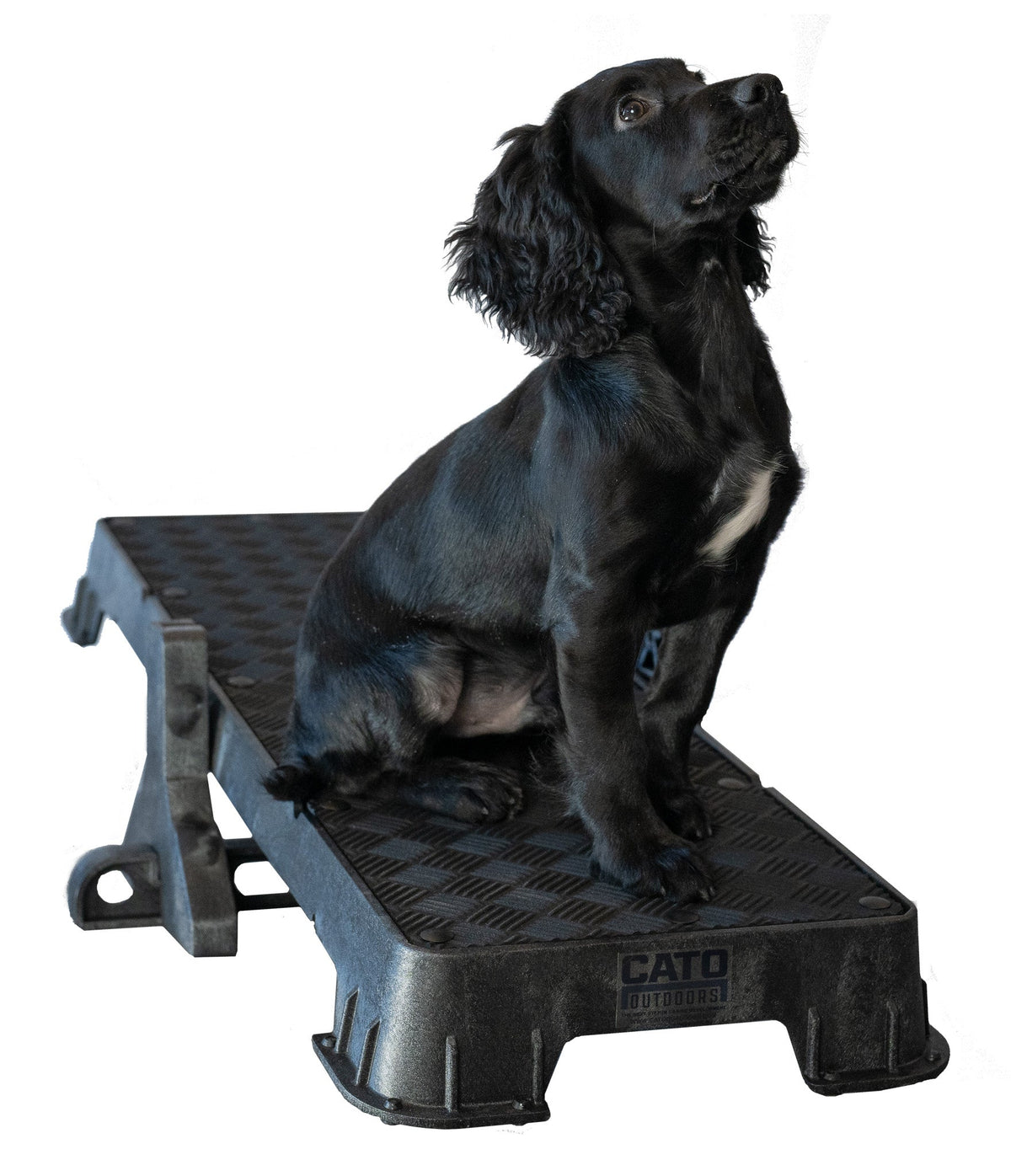 Dog Training Platform product image 1