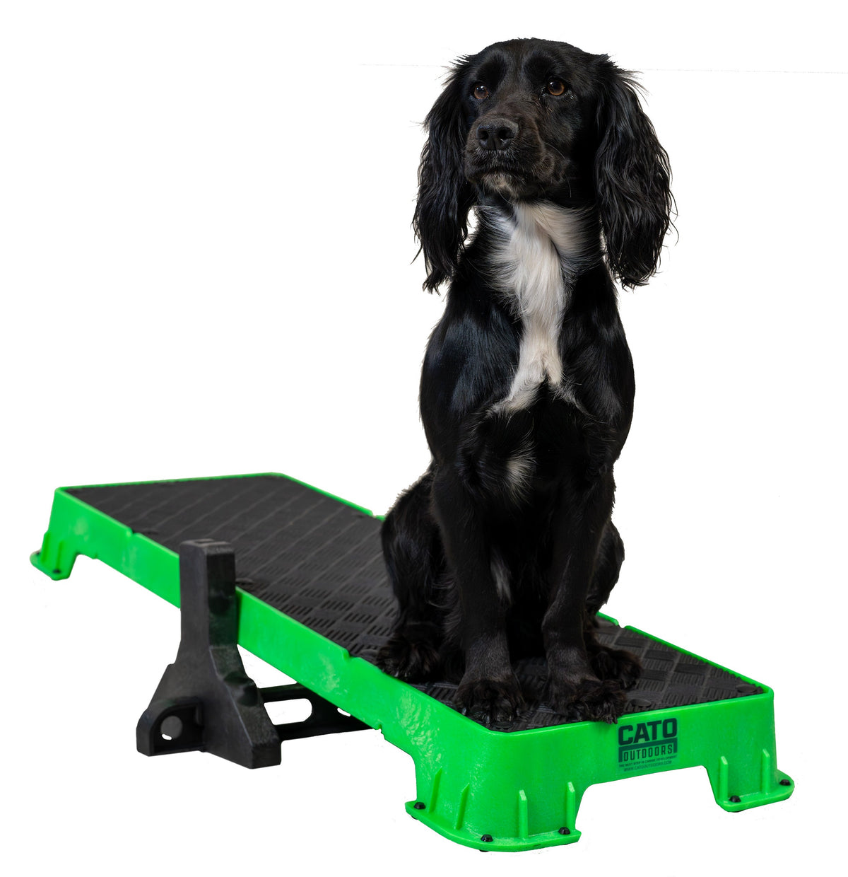 Dog Training Platform product image 3