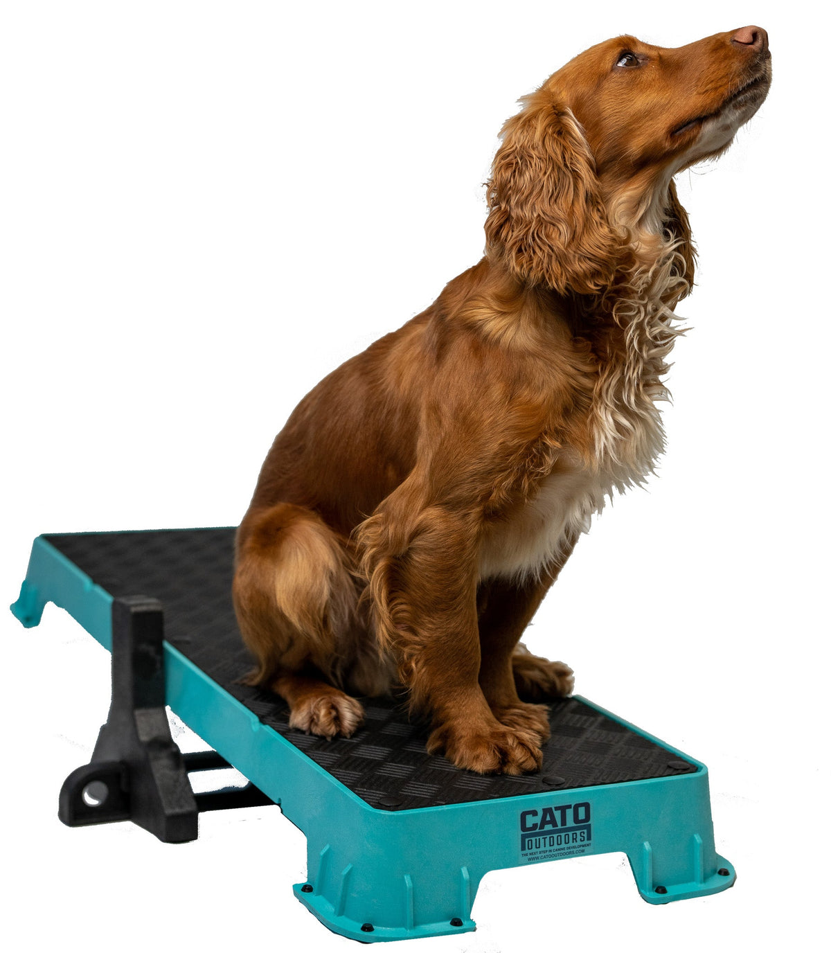 Dog Training Platform product image 4