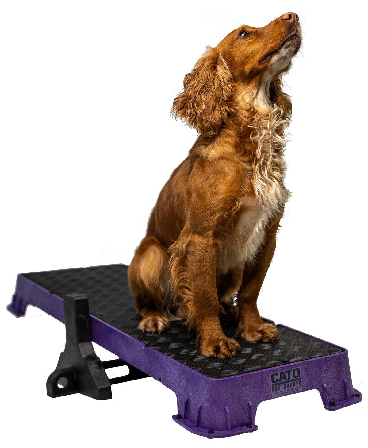 Dog Training Platform product image 5