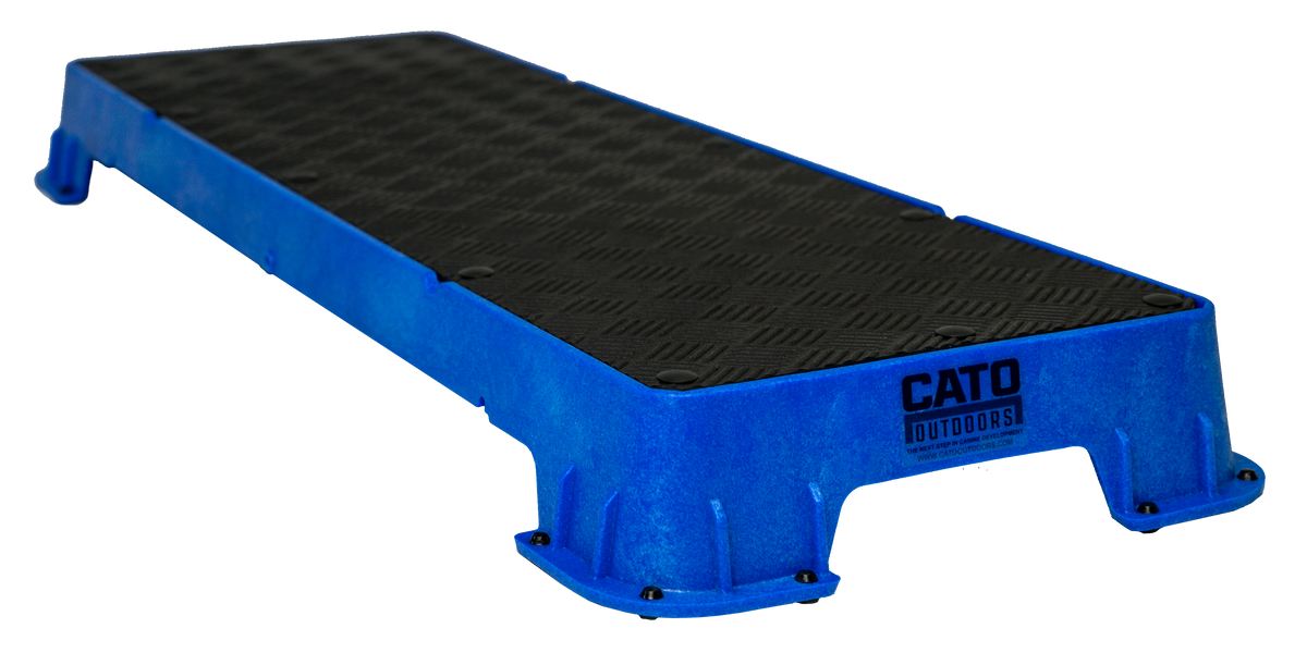 Dog Training Platform product image 14