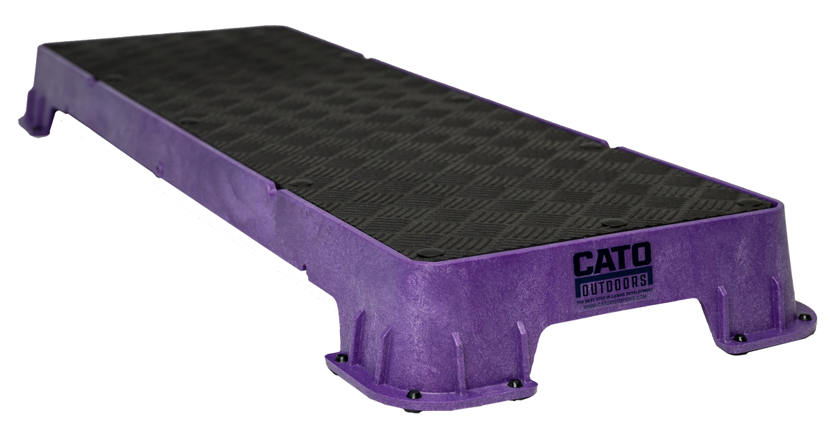 Dog Training Platform product image 15