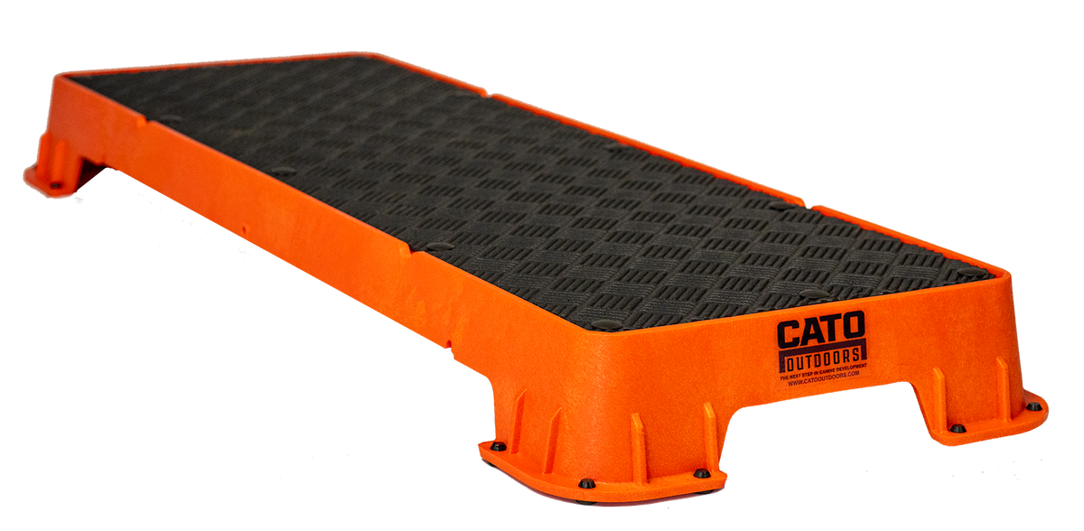 Dog Training Platform product image 19