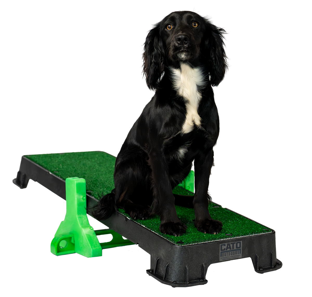 Dog Training Platform product image 24