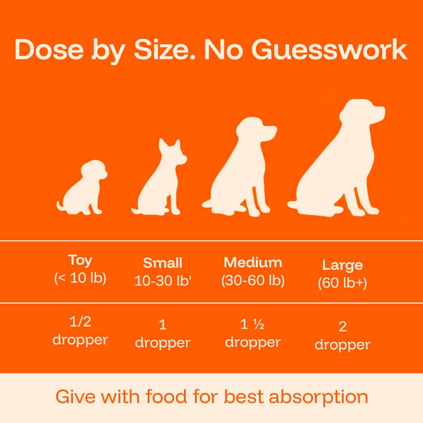 Liquid Dog Wellness Supplement product image 6