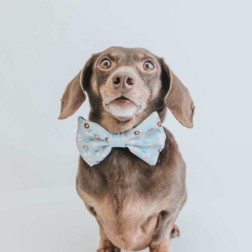 Dog Collar product image 6