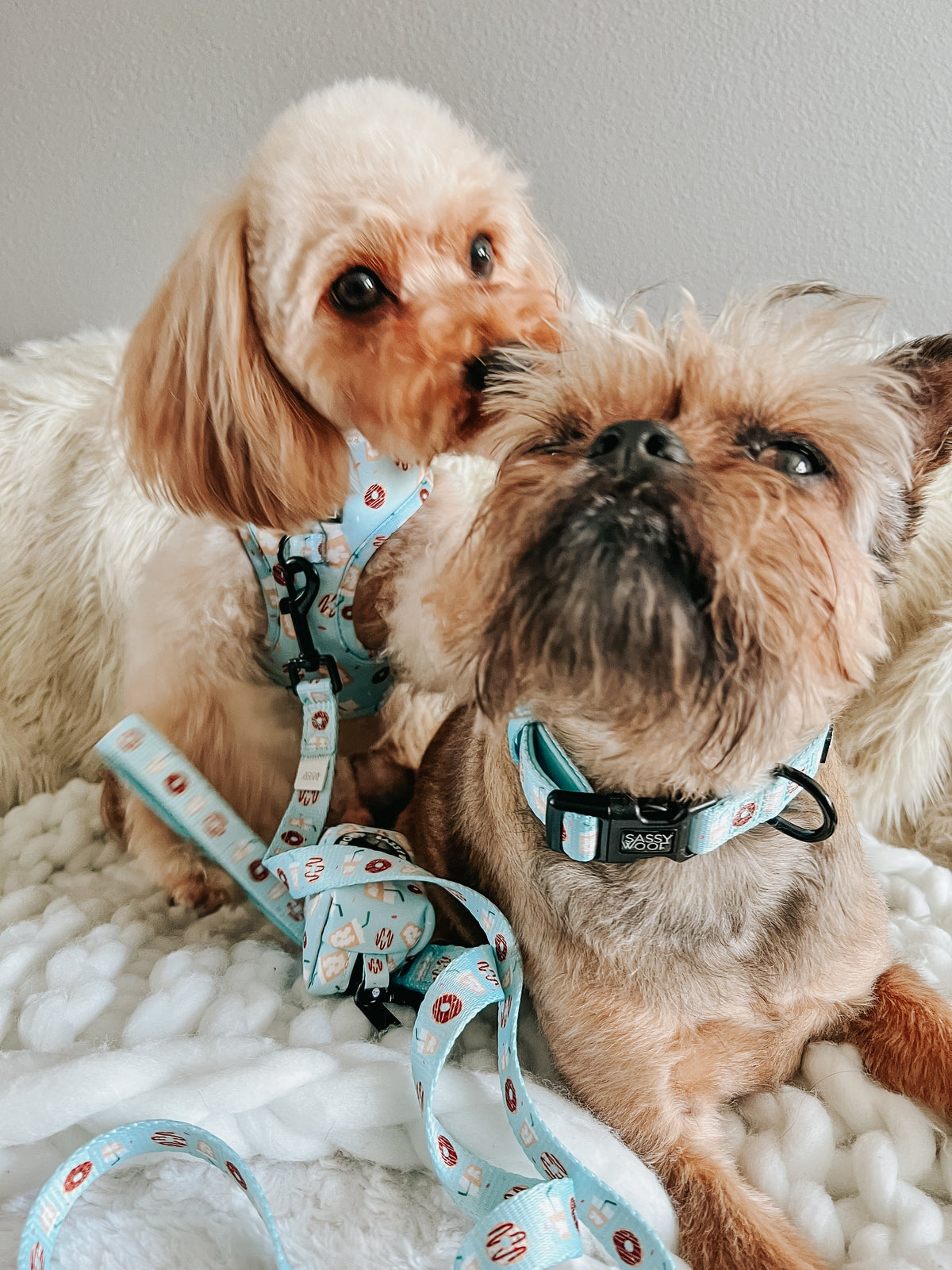 Dog Collar product image 10