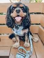Dog Collar product image 11