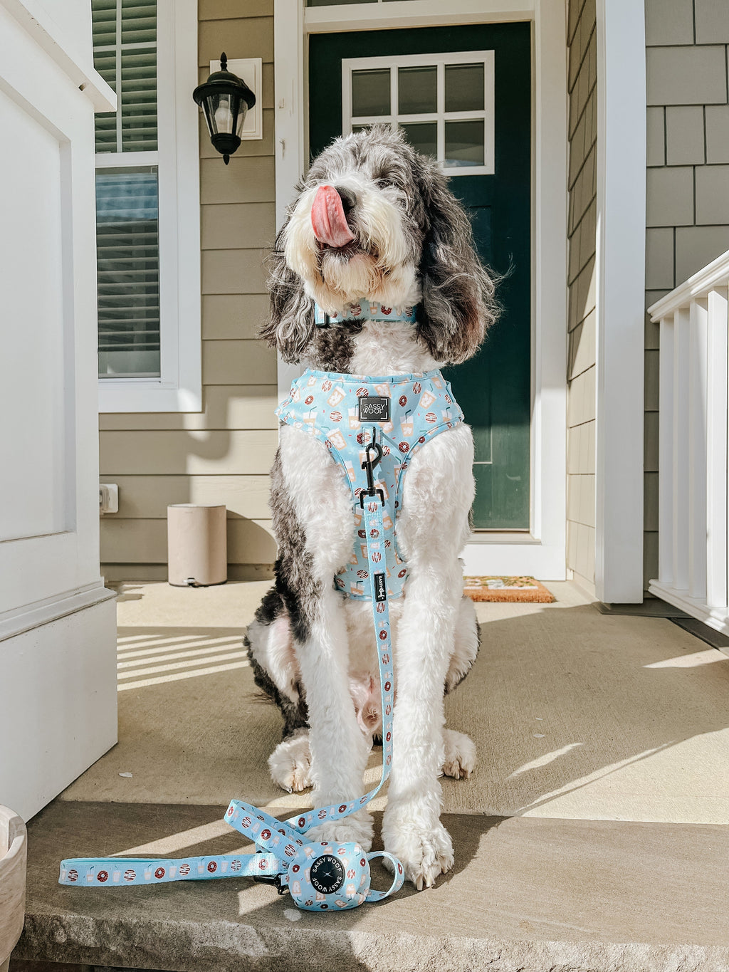 Dog Collar product image 12