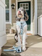 Dog Collar product image 12
