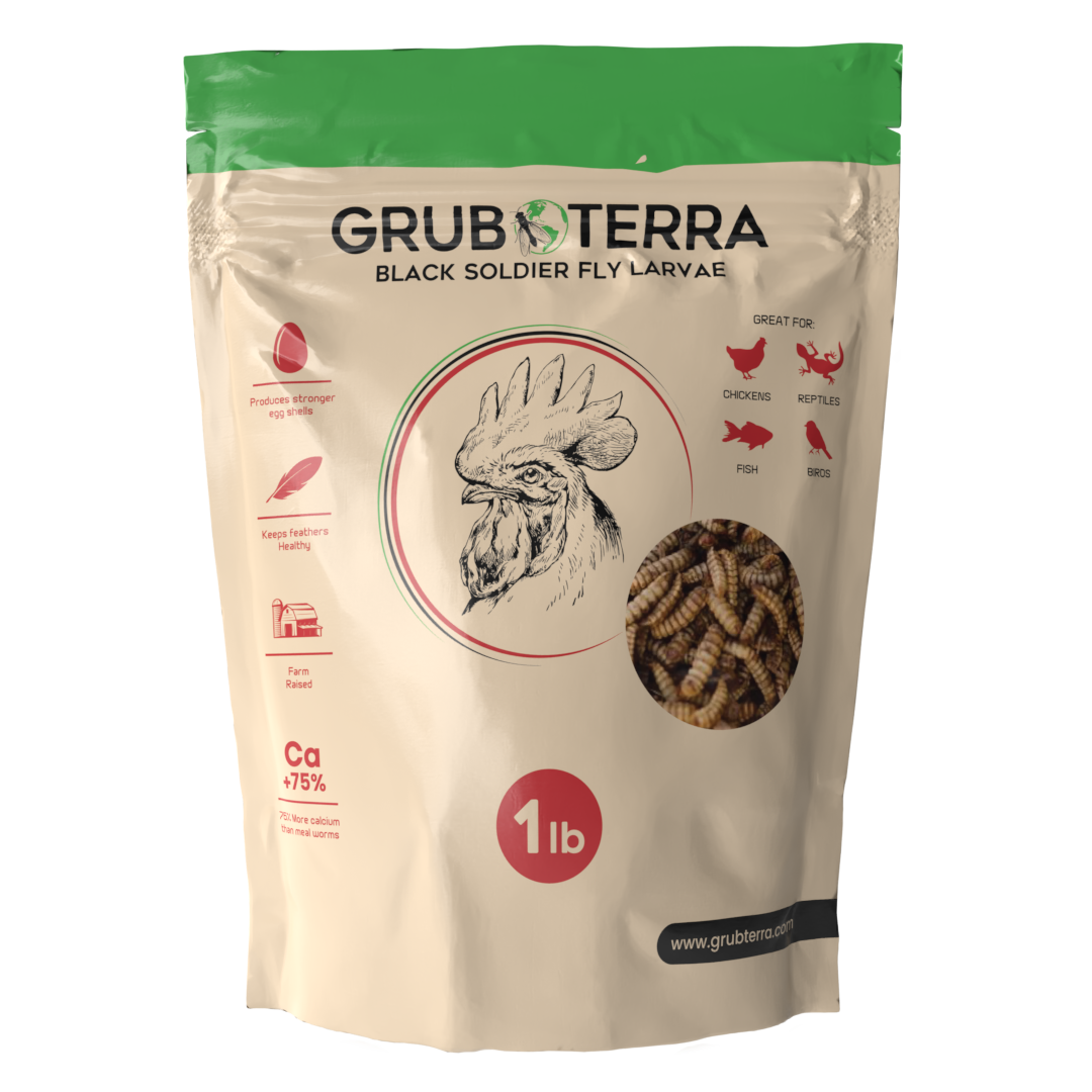 Black Soldier Fly Larvae product image 3