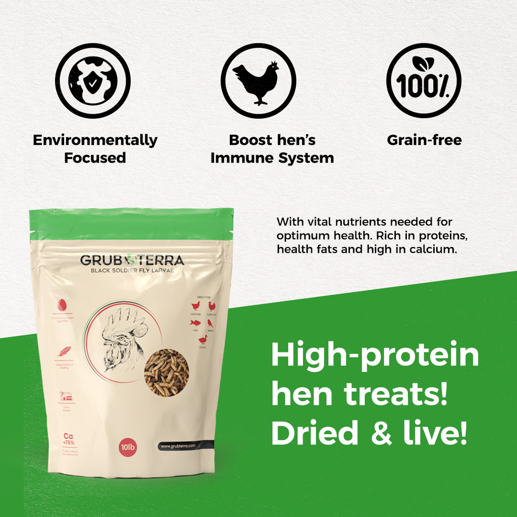Black Soldier Fly Larvae product image 9