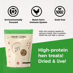 Black Soldier Fly Larvae product image 9