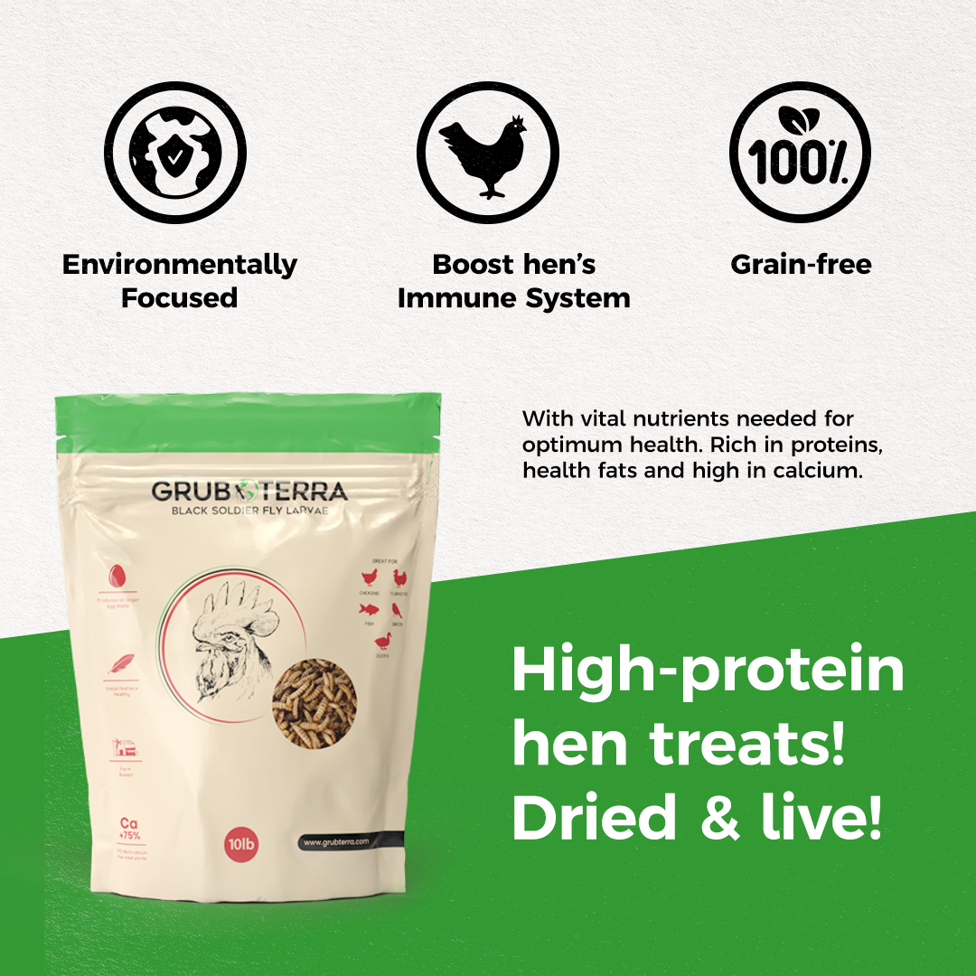 Black Soldier Fly Larvae product image 9