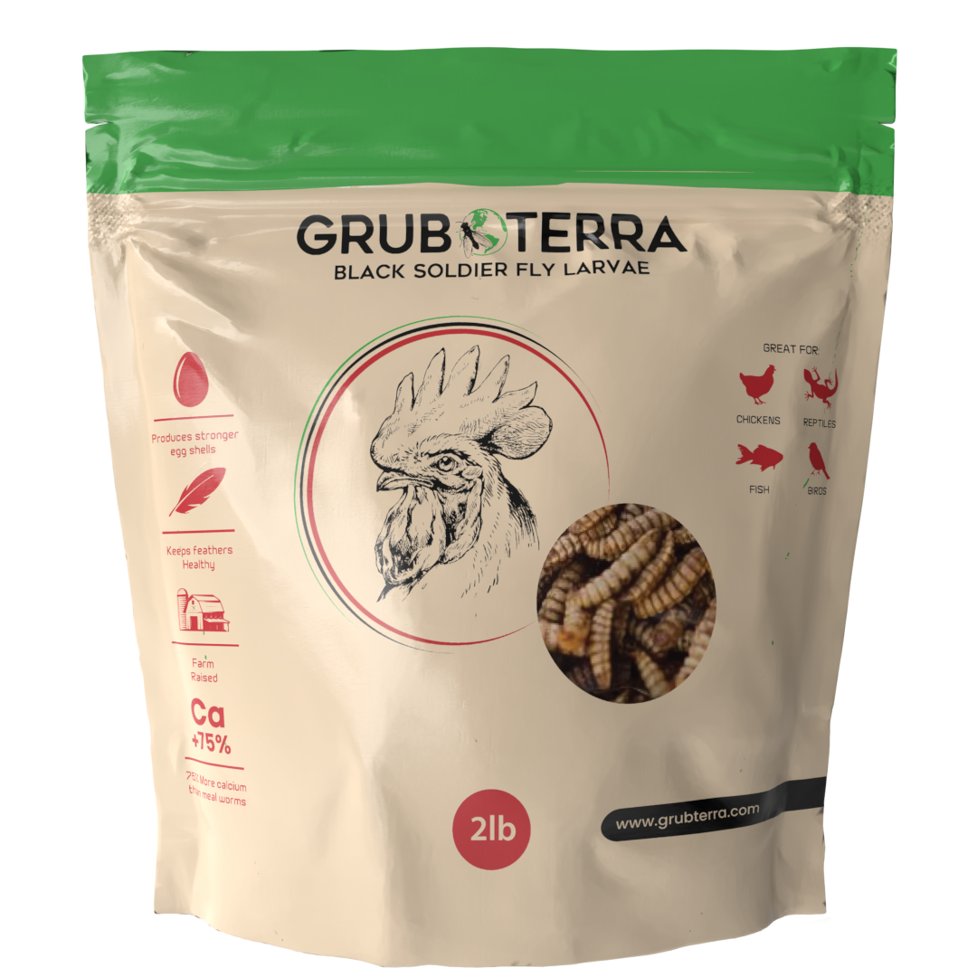 Black Soldier Fly Larvae product image 10
