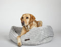 Bolster Dog Bed product image 1