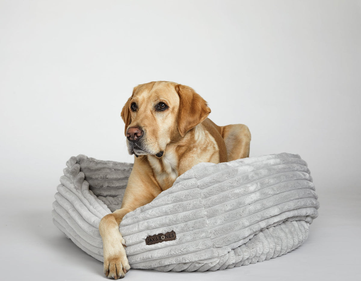Bolster Dog Bed product image 1