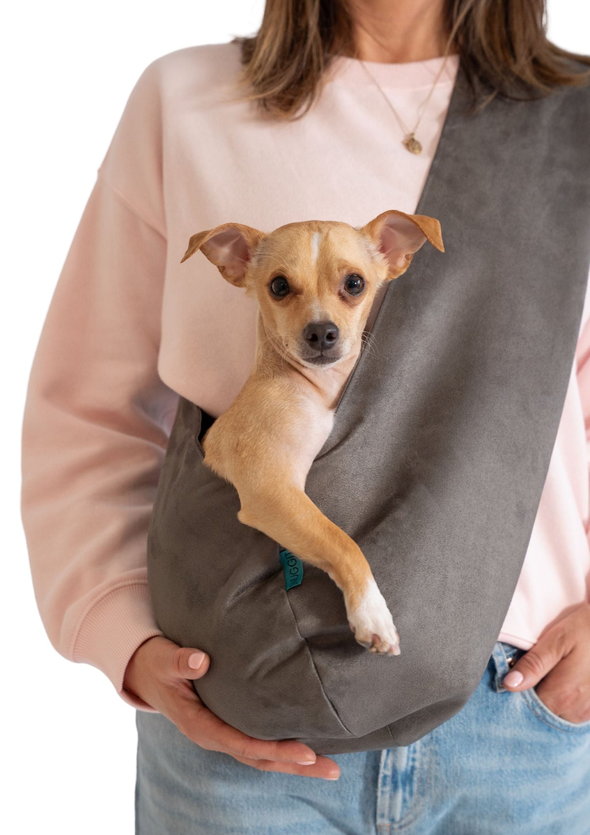 Pet Carrier product image 4