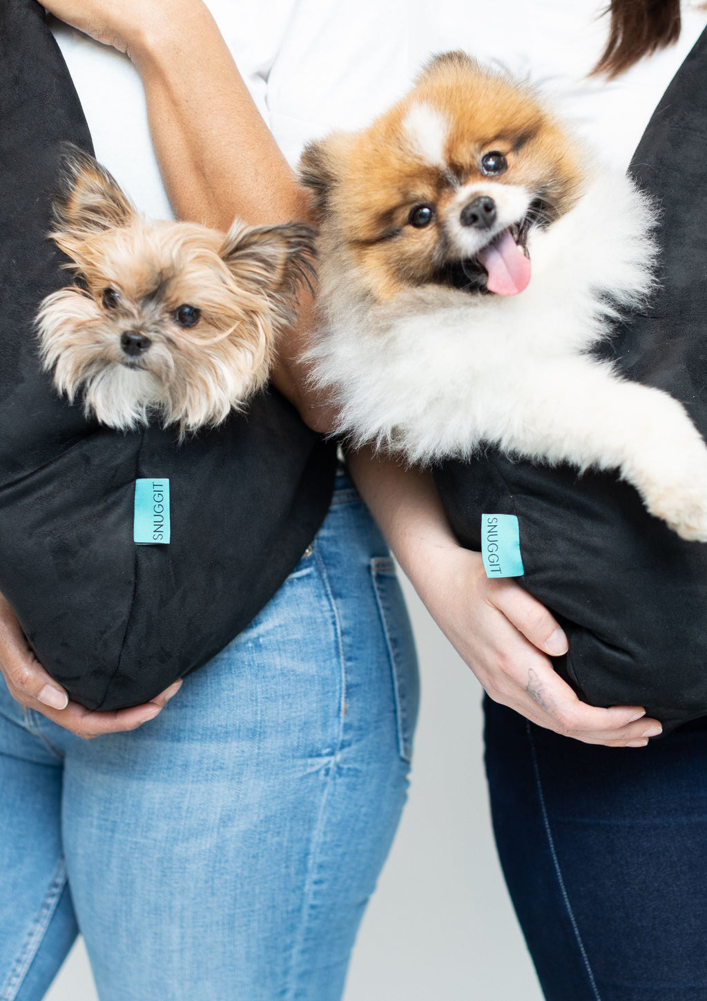 Pet Carrier product image 15