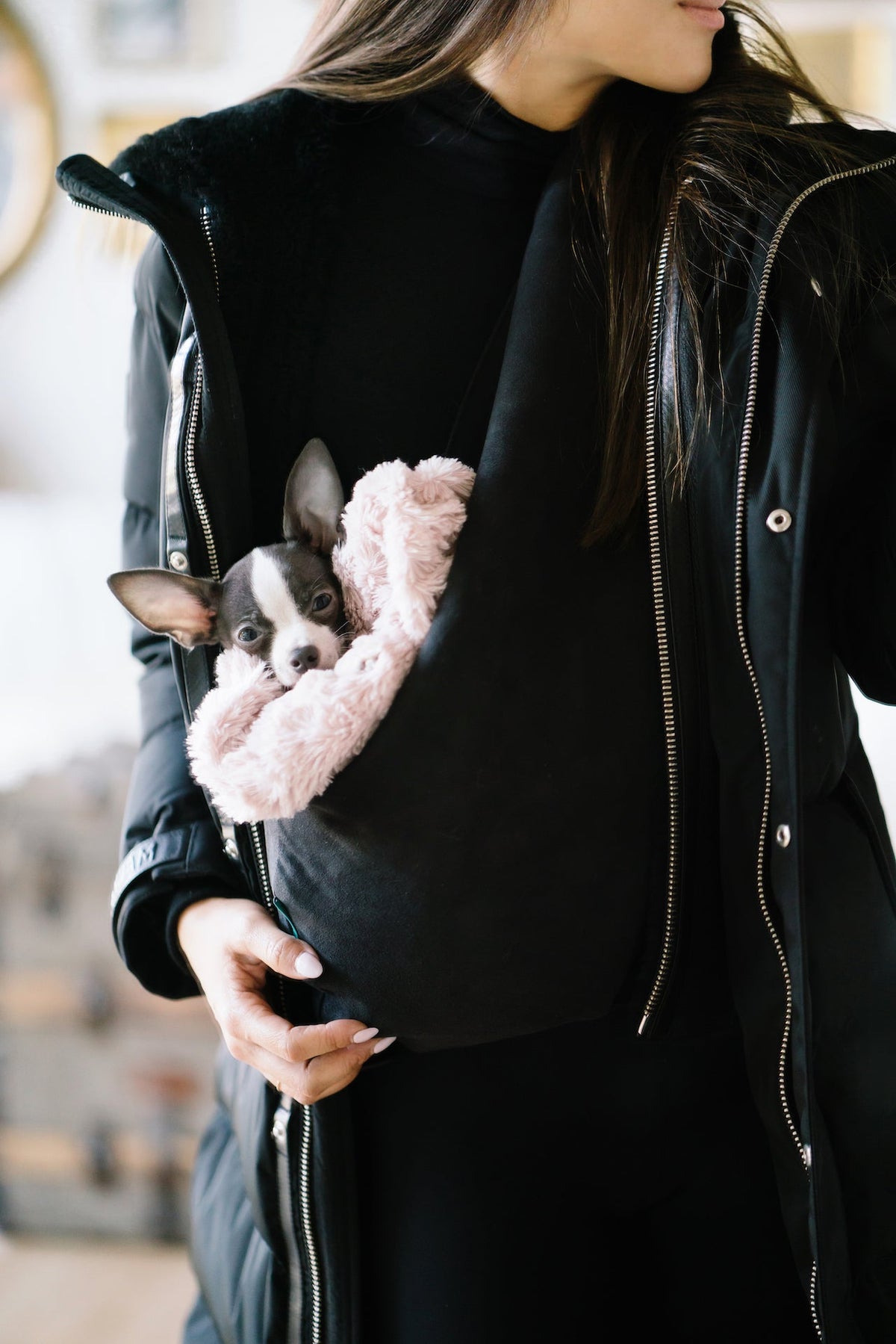 Pet Carrier product image 21