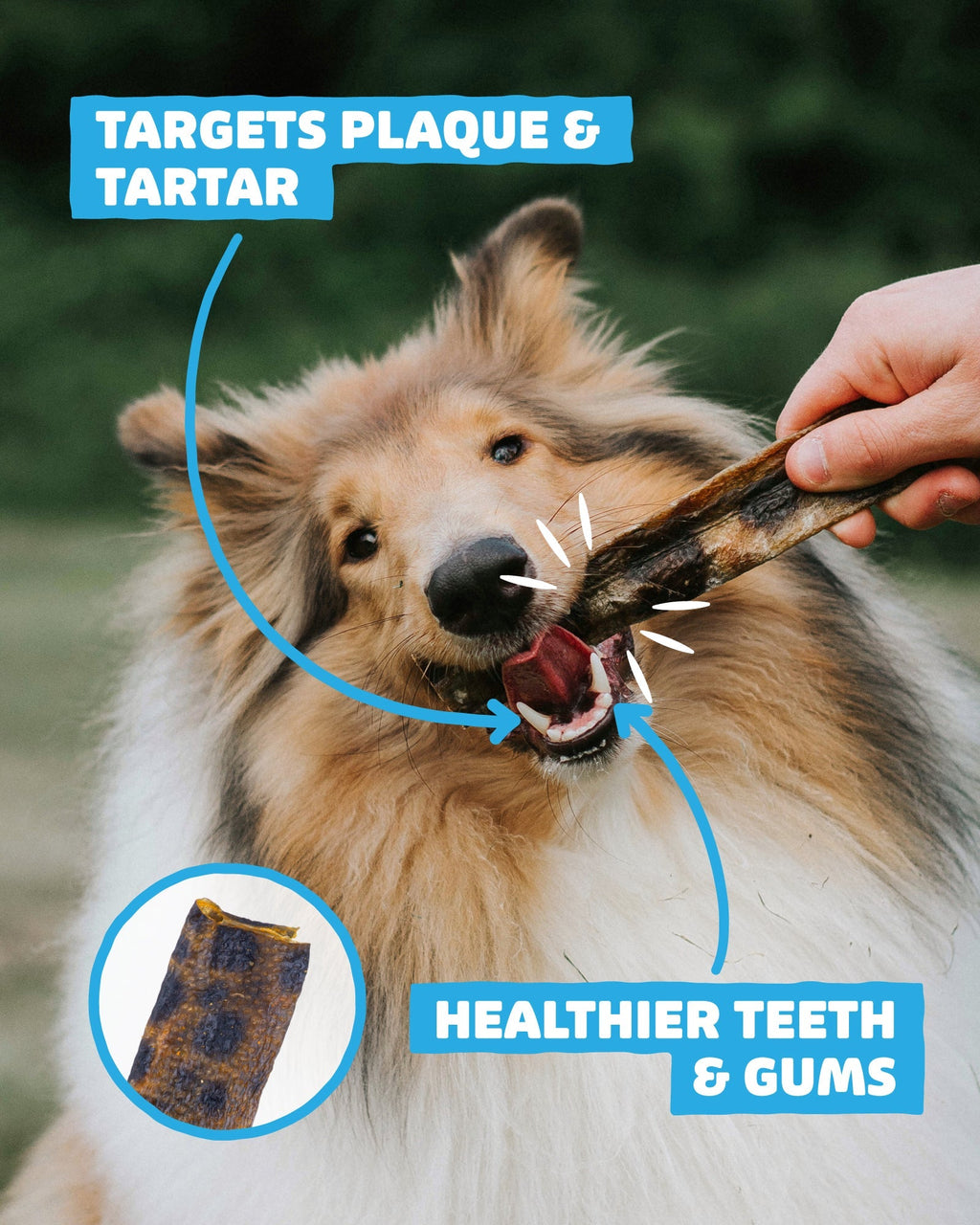 Dog Dental Treat Bundle product image 5