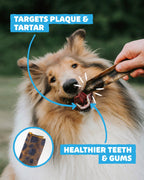 Dog Dental Treat Bundle product image 5