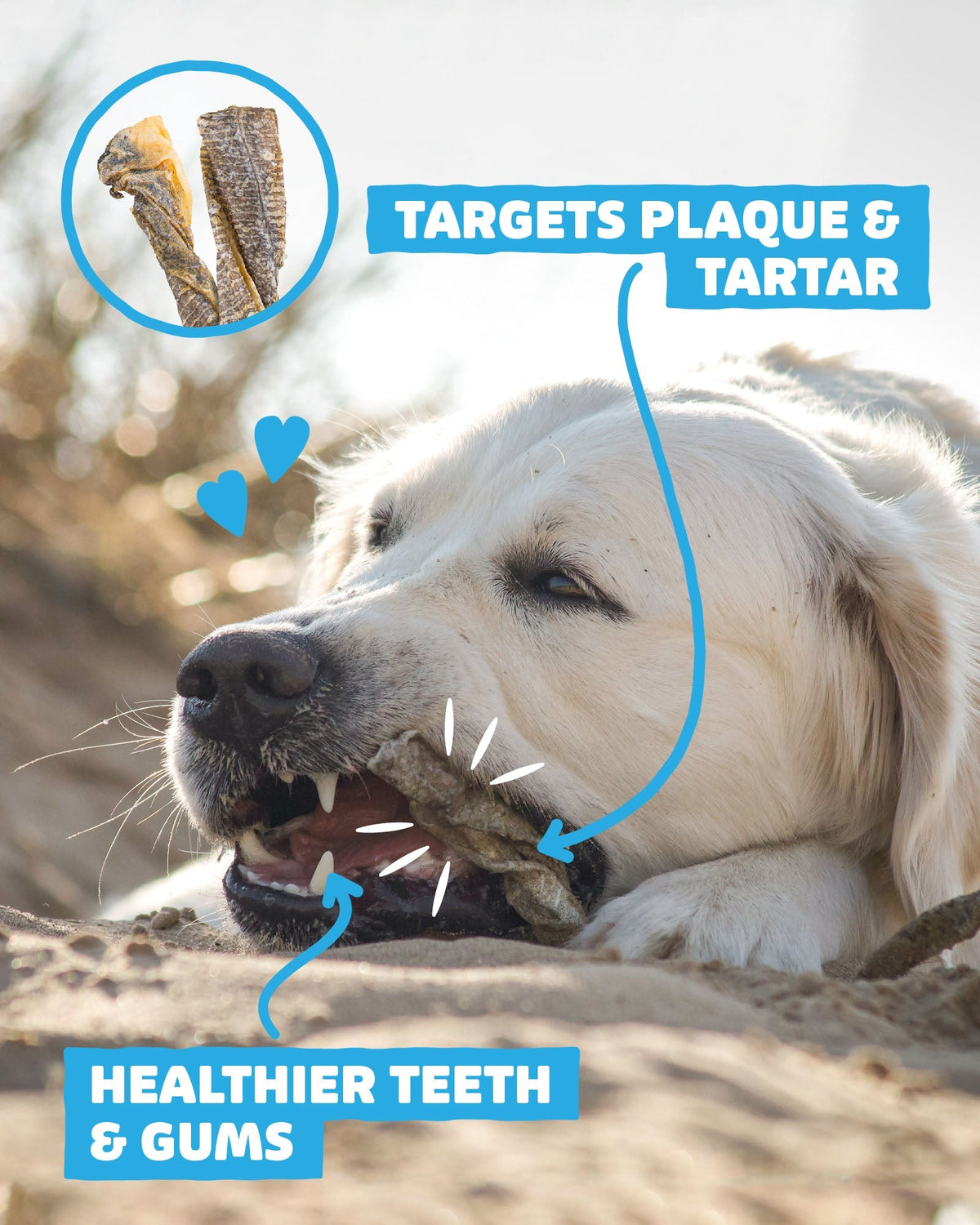 Dog Dental Treat Bundle product image 7