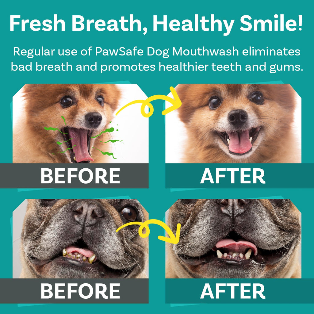 Dog Mouthwash Water Additive product image 4