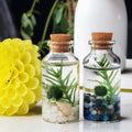 Terrarium Set product image 1