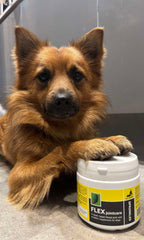 Dog Joint Supplement product image 3