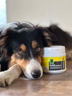 Dog Joint Supplement product image 4