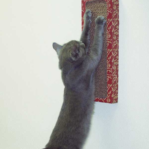 Wall Cat Scratcher product image 2