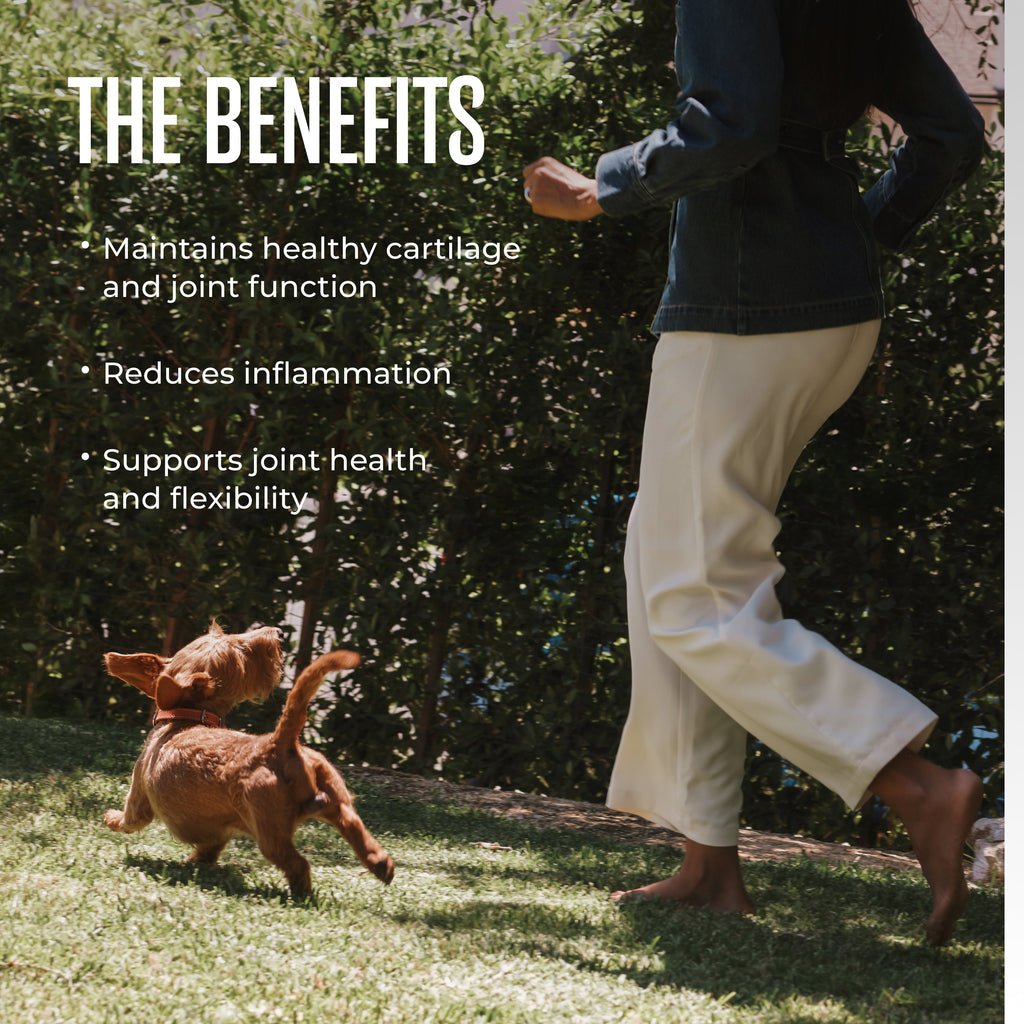Dog Joint Mobility Soft Chews product image 3
