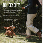 Dog Joint Mobility Soft Chews product image 3