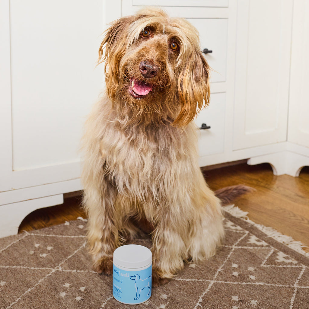 Dog Joint Mobility Soft Chews product image 10