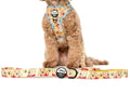 Dog Leash product image 1